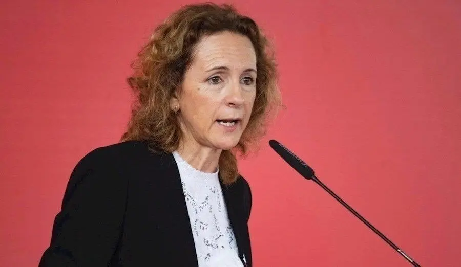 Isabel Fern&aacute;ndez, senadora socialista