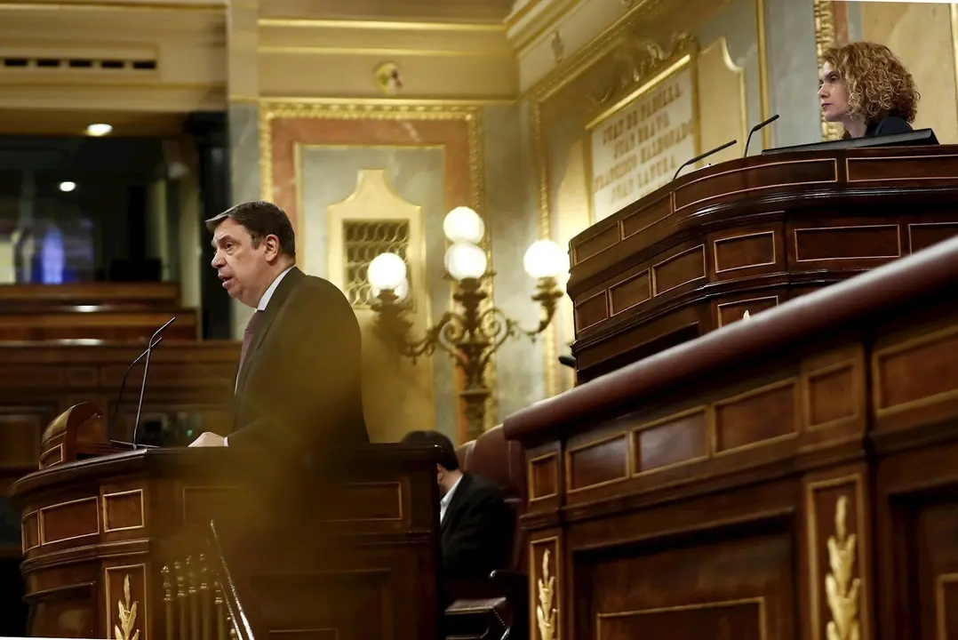 La presidenta de la c&aacute;mara, Meritxell Batet y el ministro de Agricultura, Luis Planas, durante el pleno del Congreso de los Diputados.