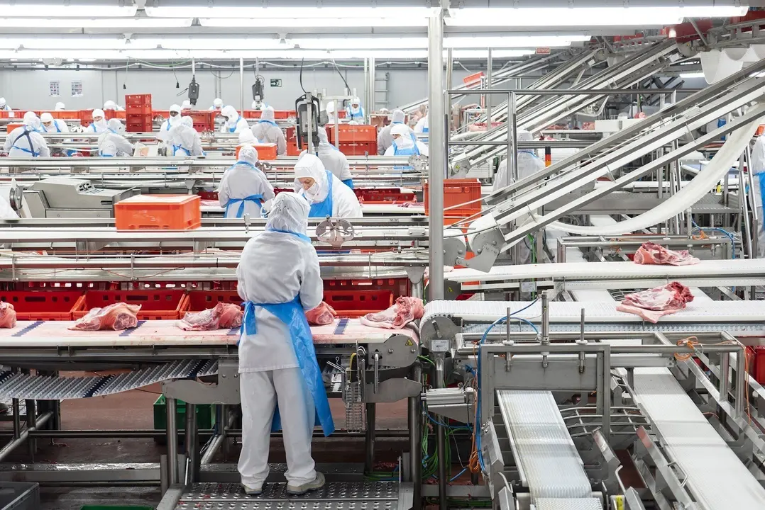 Centro de producci&oacute;n de C&aacute;rnicas Cinco Villas .