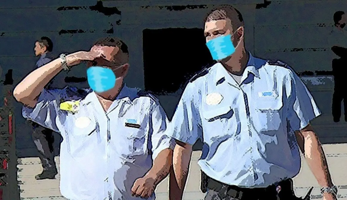 Vigilantes de seguridad privada