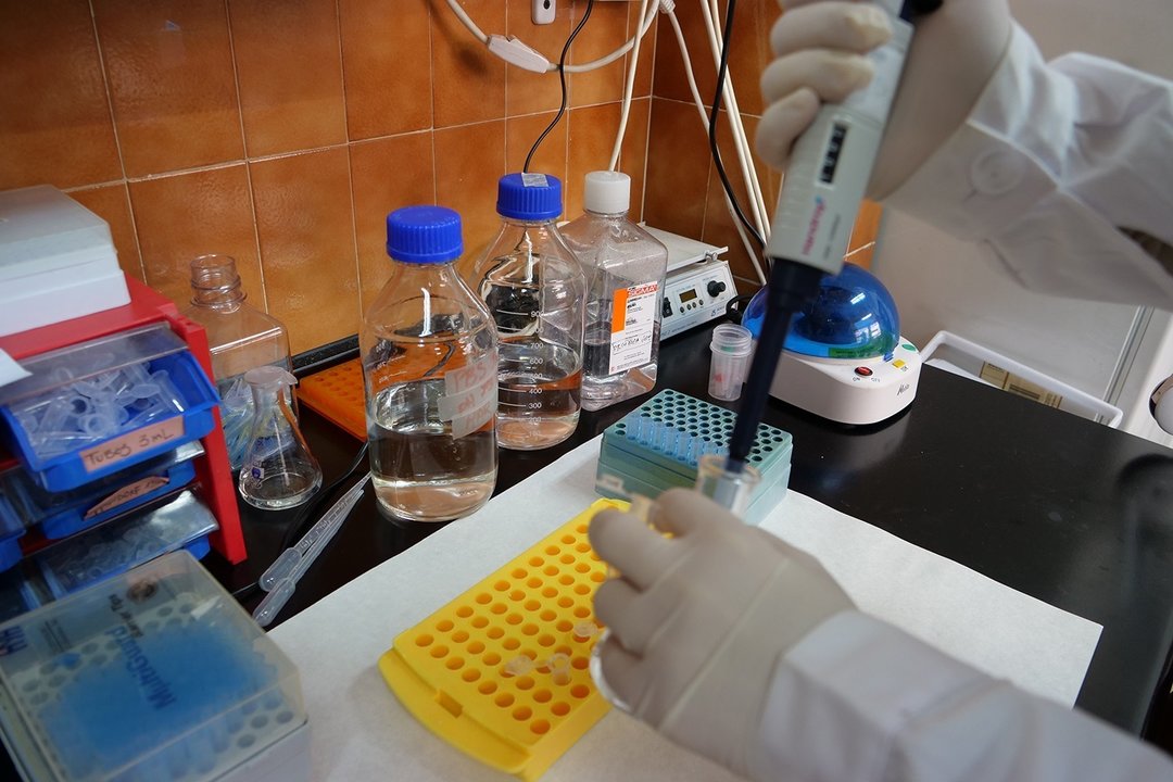 Un investigador de la Universidad de Málaga en un laboratorio.
