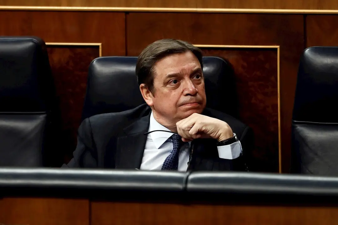 El ministro de Agricultura, Luis Planas, este mi&eacute;rcoles en la sesi&oacute;n de control al Gobierno en el Congreso de los Diputados