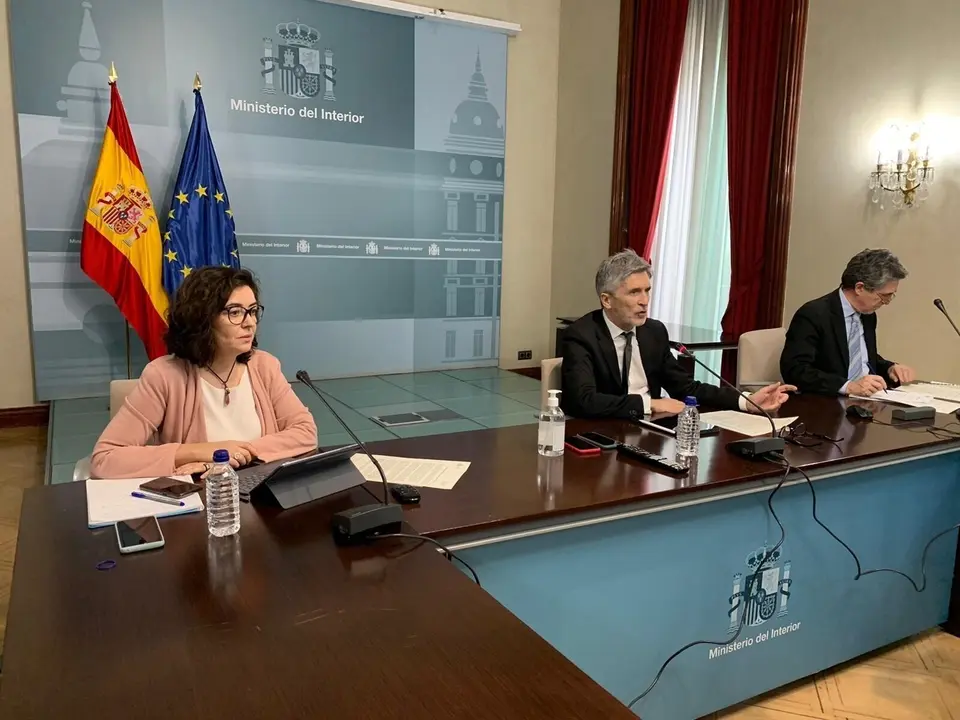 El ministro del Interior, Fernando Grande Marlaska, en la quinta reuni&oacute;n del Comit&eacute; Estatal de Coordinaci&oacute;n de Protecci&oacute;n Civil.