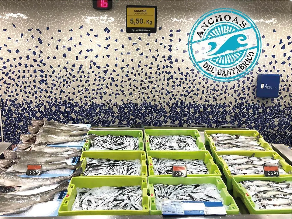 Informaci&oacute;n Anchoa