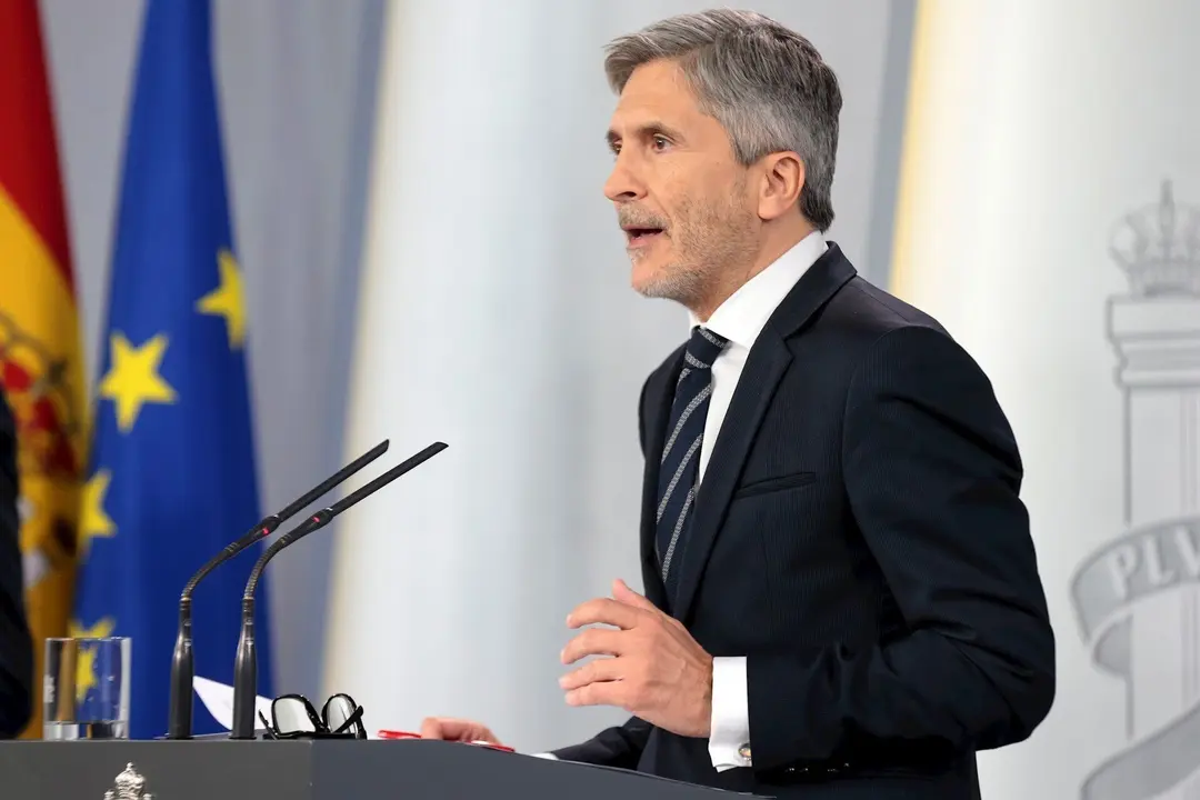 El ministro del Interior, Fernando Grande-Marlaska, en rueda de prensa en Madrid (Espa&ntilde;a) a 29 de abril de 2020.