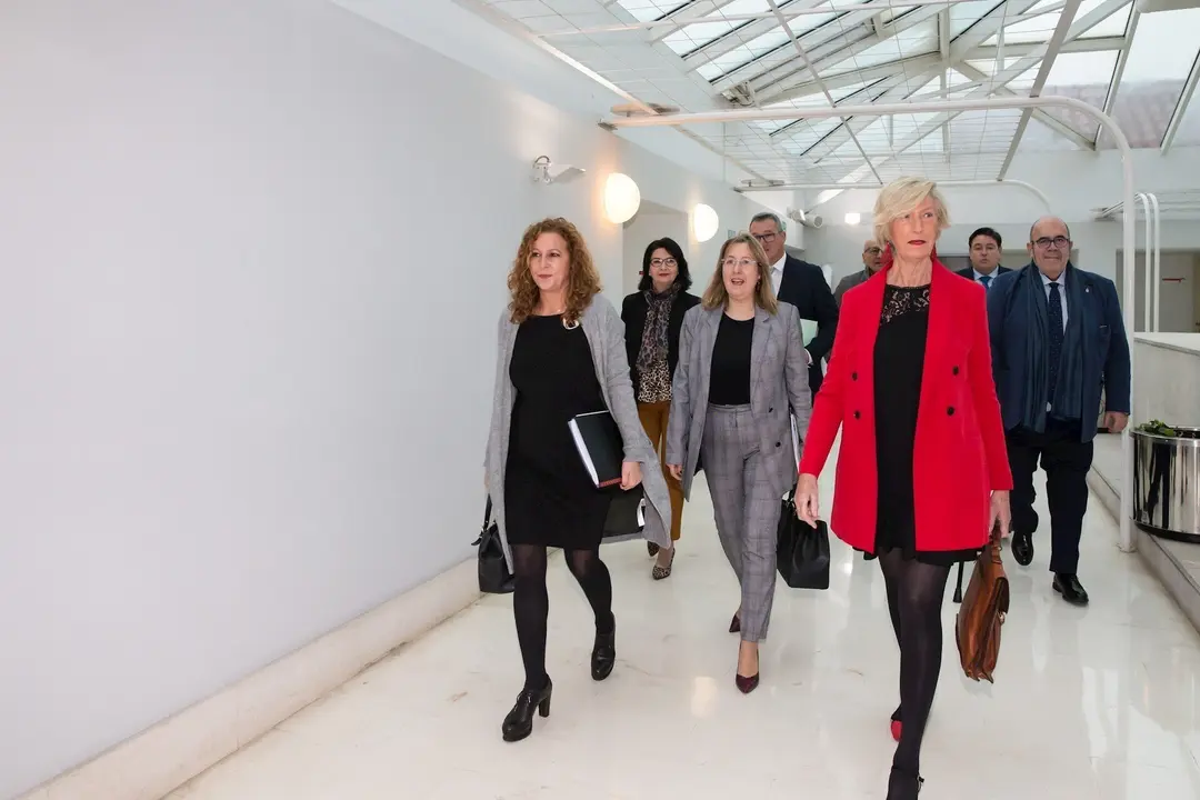 La consejera de Educaci&oacute;n, Formaci&oacute;n Profesional y Turismo, Marina Lomb&oacute;, comparece ante la Comisi&oacute;n de Econom&iacute;a y Hacienda para informar de los presupuestos de su departamento para 2020