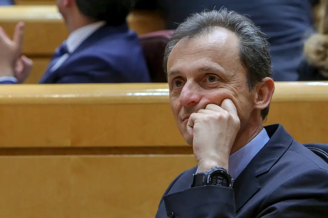 El ministro de Ciencia, Innovaci&oacute;n y Universidades, Pedro Duque, durante un pleno en el Senado.