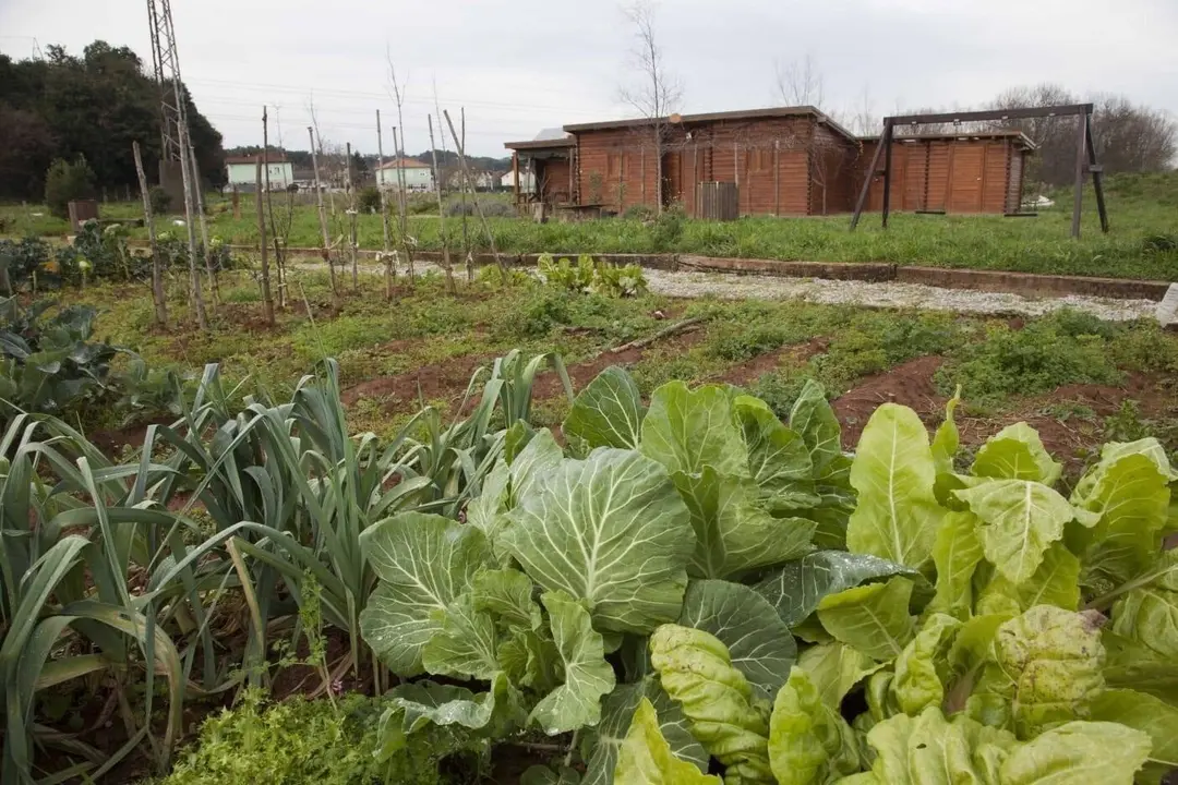 Huertas municipales sostenibles de Revilla de Camargo 