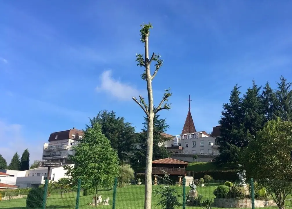 Residencia de mayores en Oviedo