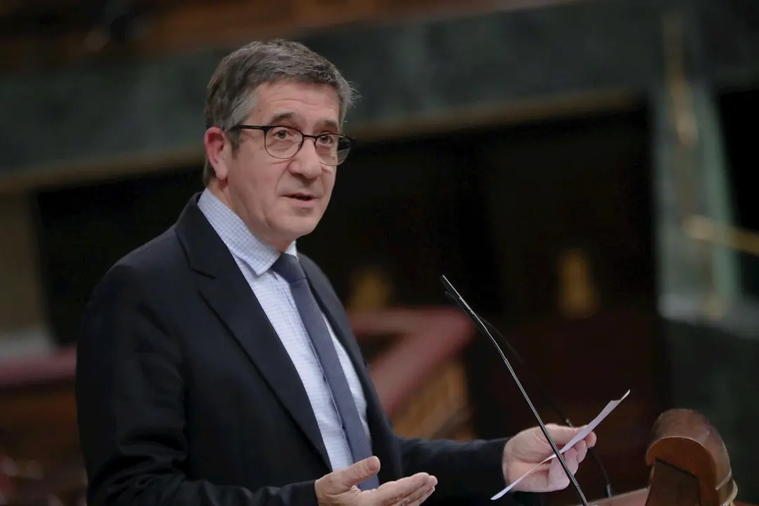 El diputado socialista Patxi L&oacute;pez