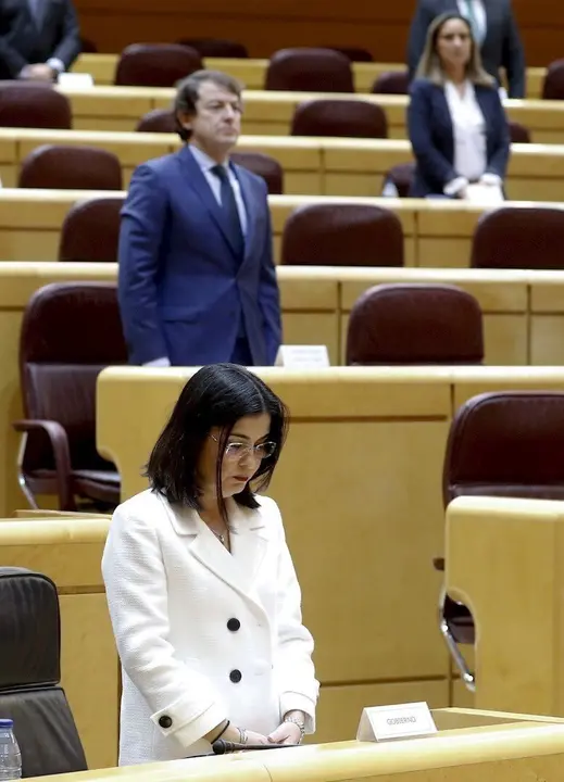La ministra de Pol&iacute;tica Territorial, Carolina Darias, en el Senado. Tras ella, el presidente de la Junta de Castilla y Le&oacute;n.