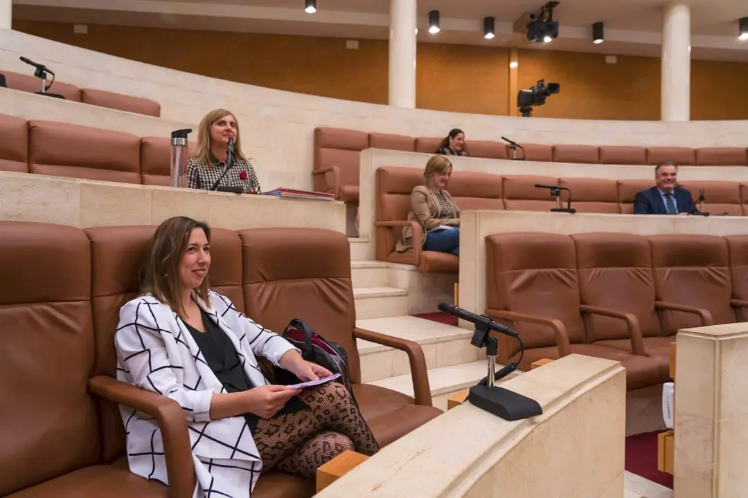 La consejera de Econom&iacute;a y Hacienda, Mar&iacute;a S&aacute;nchez, en su comparecencia parlamentaria sobre Covid. Archivo.