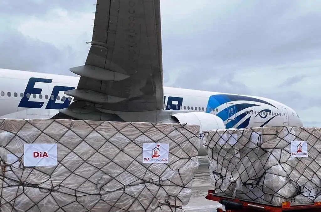 Avi&oacute;n con mascarillas de Dia