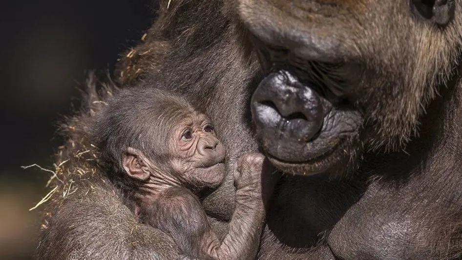 96920608_10158535360175663_1972242466857811968_n