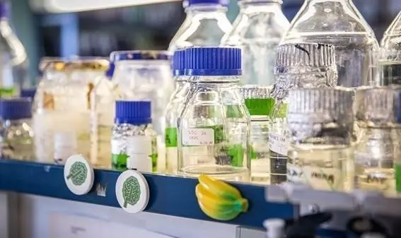 El repositorio cient&iacute;fico del CSIC crea una colecci&oacute;n con las investigaciones sobre los coronavirus