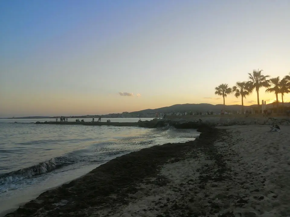 Playa de Palma de Mallorca
