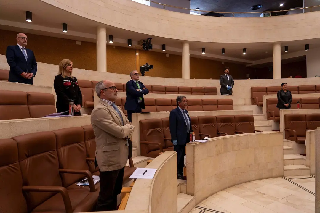 Minuto de silencio en el Pleno monogr&aacute;fico sobre la epidemia de coronavirus