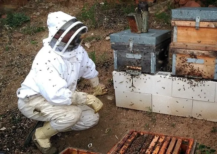 Imagen de un alumno en uno de los cursos de formaci&oacute;n de la Asociaci&oacute;n Malague&ntilde;a de Apicultores
