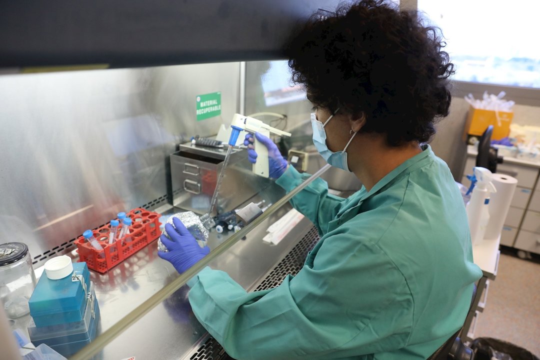 Un biólogo trabaja en un laboratorio del Centro de Biología Molecular Severo Ochoa en el Campus de Cantoblanco de la Universidad Autónoma durante el tercer día de su reapertura. En Madrid (España), a 20 de mayo de 2020.