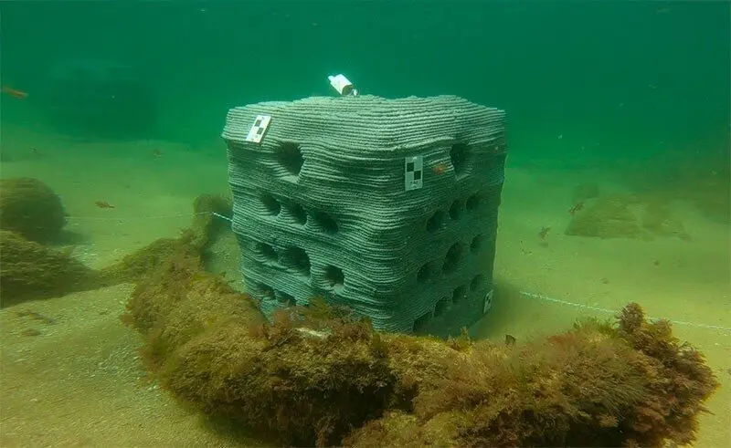 Arrecife artificial fabricado por la UC