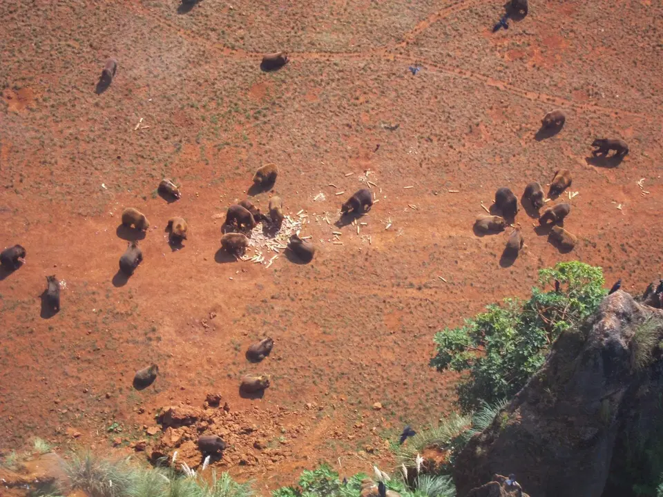 Recinto osos Cab&aacute;rceno visto desde la telecabina. Archivo.