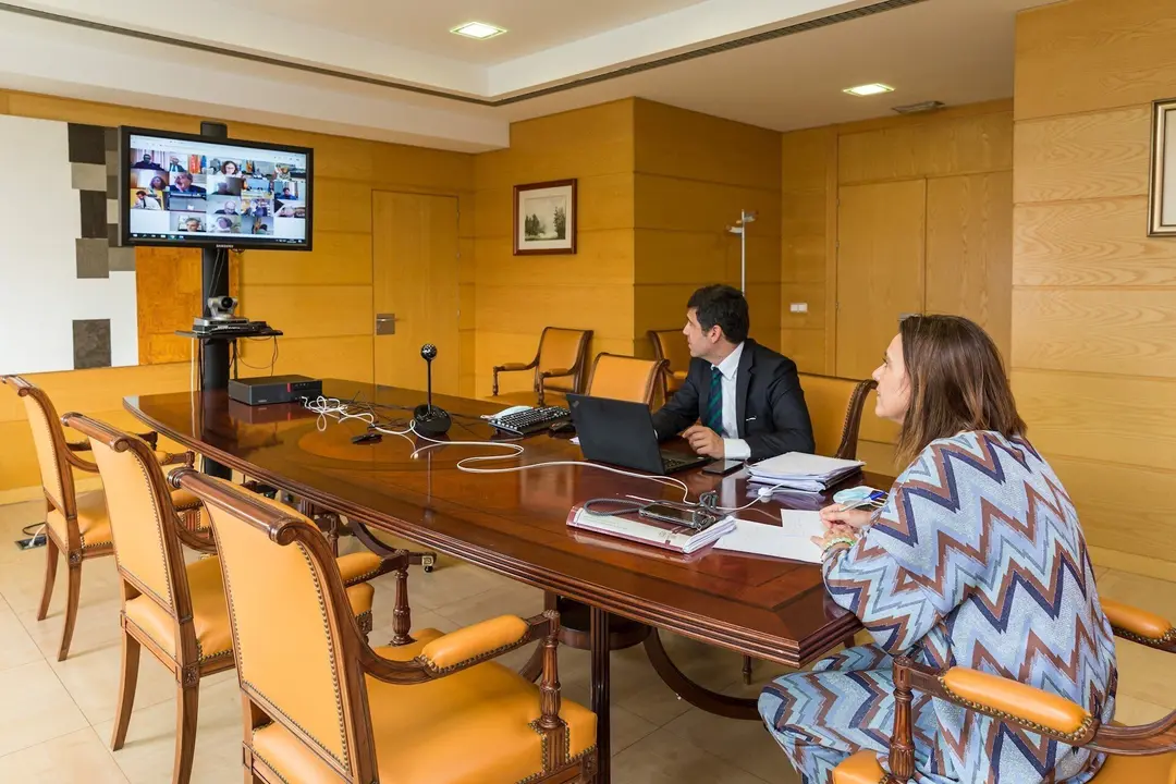 La consejera de Justicia, Paula Fern&aacute;ndez, y el director del &aacute;rea, en la reuni&oacute;n telem&aacute;tica de la Comisi&oacute;n de Justicia con el Ministerio, el CGPJ y Fiscal&iacute;a