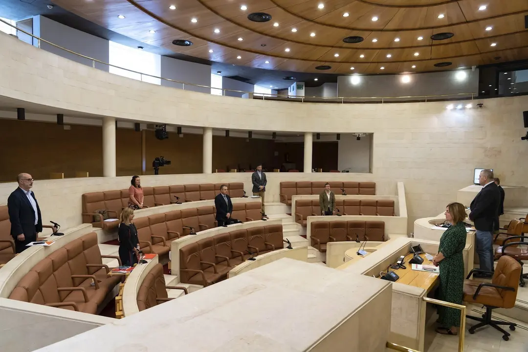 Comisi&oacute;n COVID-19