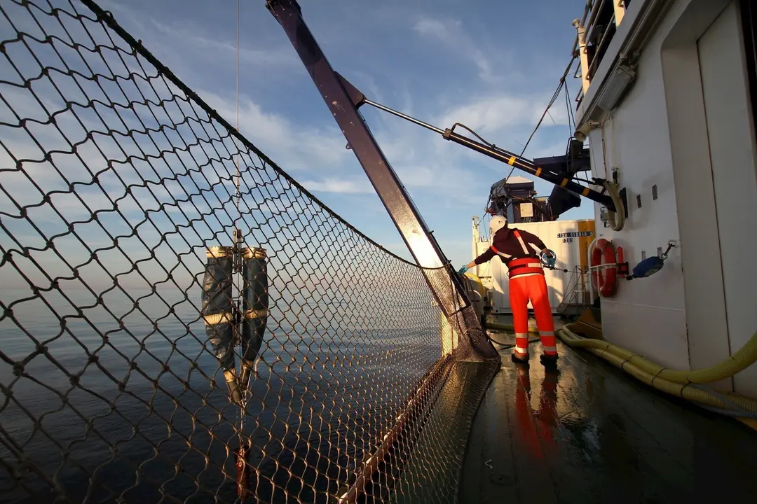 Campa&ntilde;a Bioman.