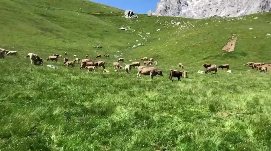 WhatsApp Image 2020-05-30 at 18.24.28