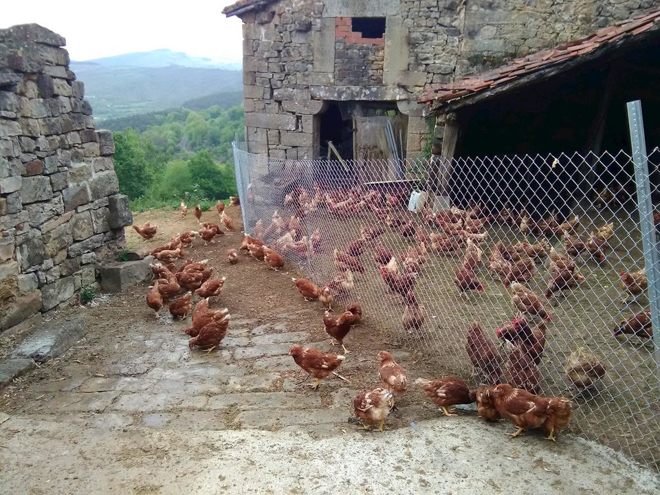 Granja avícola anexa al Santuario de Montesclaros