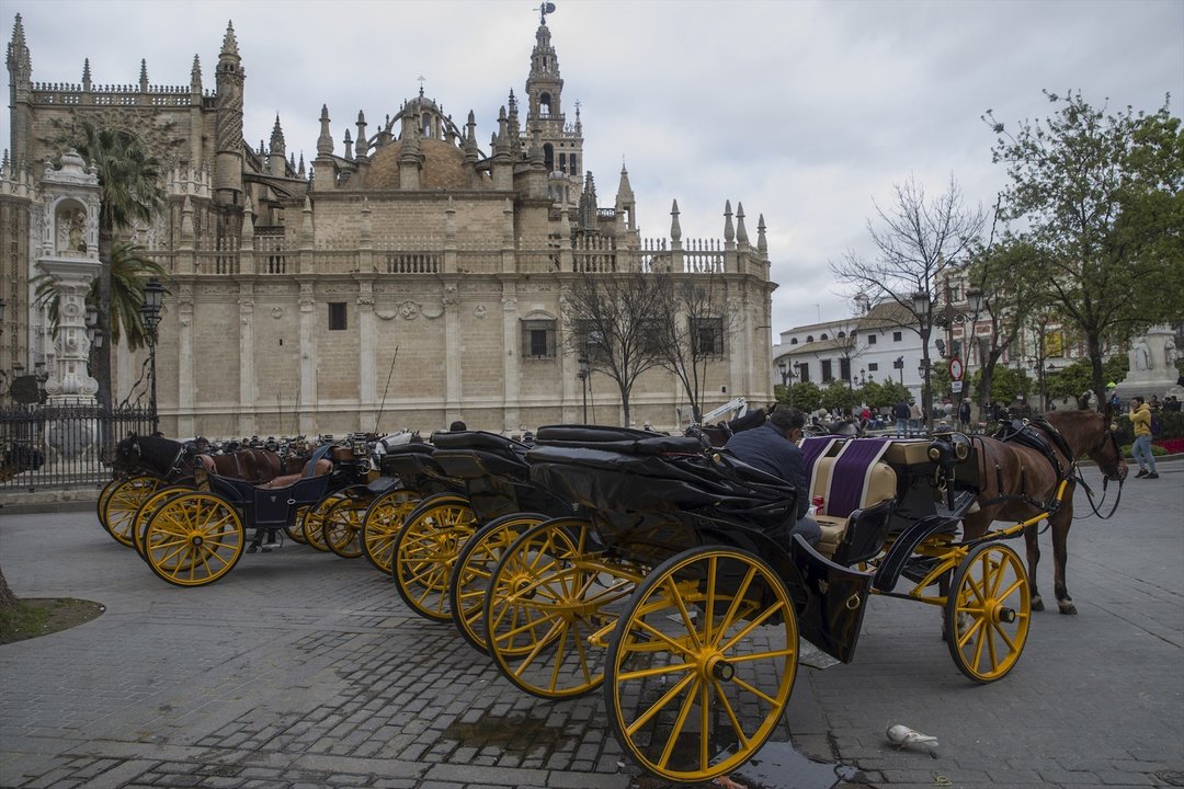 Imágenes del impacto del virus del Coronavirus en el sector turístico . Numerosos coches de caballos se aglomeran en las paradas habilitadas. (Andalucía, España).