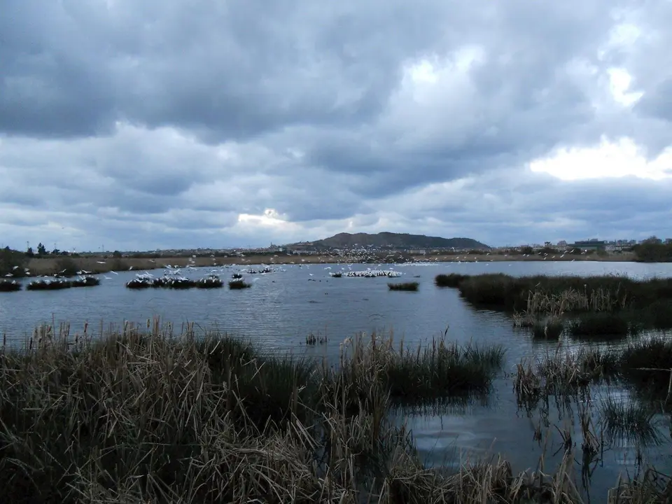 Marismas de Alday. Archivo