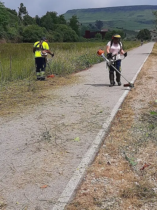 Tareas de desbroce en Suances