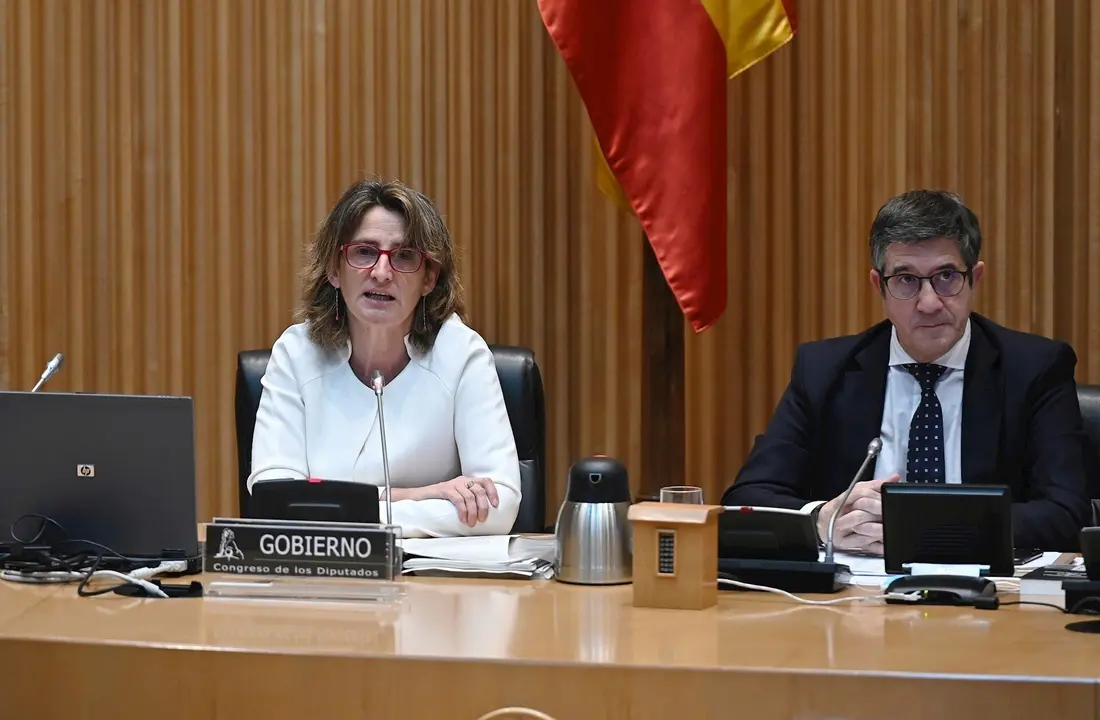 La vicepresidenta cuarta y ministra para la Transici&oacute;n Ecol&oacute;gica y el Reto Demogr&aacute;fico, Teresa Ribera, durante su comparecencia ante la Comisi&oacute;n para la Reconstrucci&oacute;n Social y Econ&oacute;mica del Congreso., en Madrid (Espa&ntilde;a), a 4 de mayo de 2020.