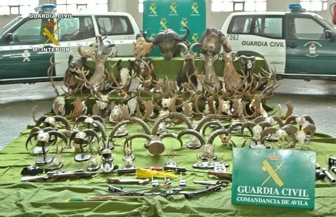 Operaci&oacute;n del SEPRONA de la Guardia Civil incauta efectos de caza furtiva.