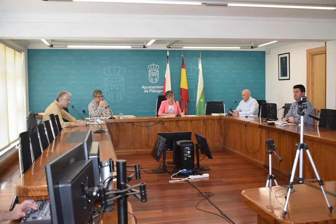 Pleno del Ayuntamiento de Pi&eacute;lagos