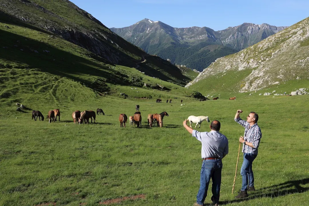 El consejero de Ganader&iacute;a, Guillermo Blanco, y el alcalde de Camale&ntilde;o, durante la subida del ganado al puerto de &Aacute;liva