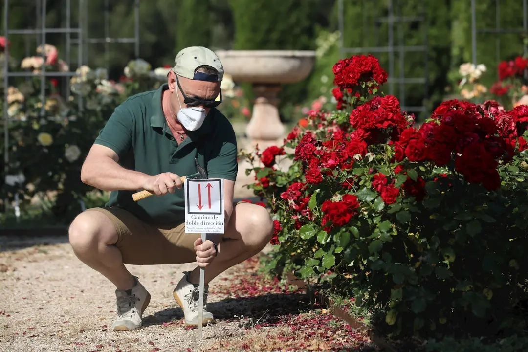 Un trabajador coloca un cartel que se&ntilde;aliza que el camino es de doble direcci&oacute;n en el Real Jard&iacute;n Bot&aacute;nico Juan Carlos I de la Universidad de Alcal&aacute;. En Alcal&aacute; de Henares, Madrid (Espa&ntilde;a), a 3 de junio de 2020.