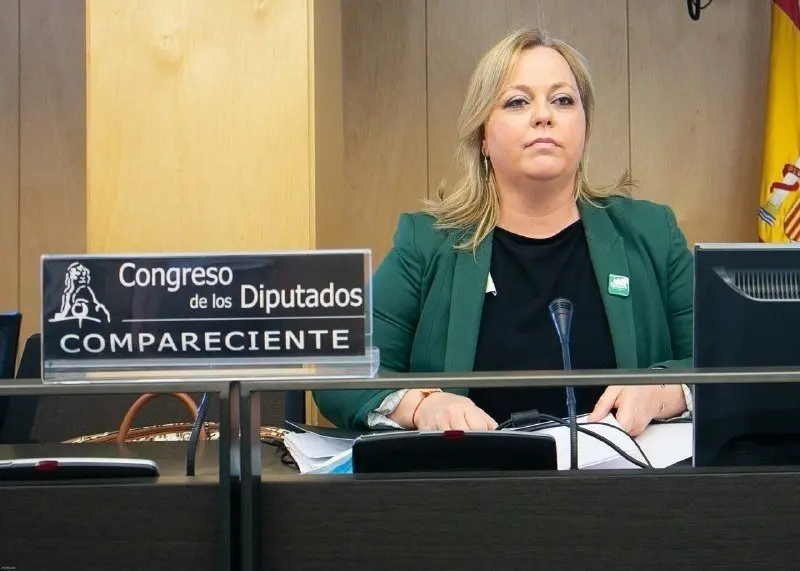 Mari Carmen Morillas, de la Confederaci&oacute;n Espa&ntilde;ola de Asociaciones de Madres y Padres del Alumnado (CEAPA), este lunes 8 de junio en el Congreso.