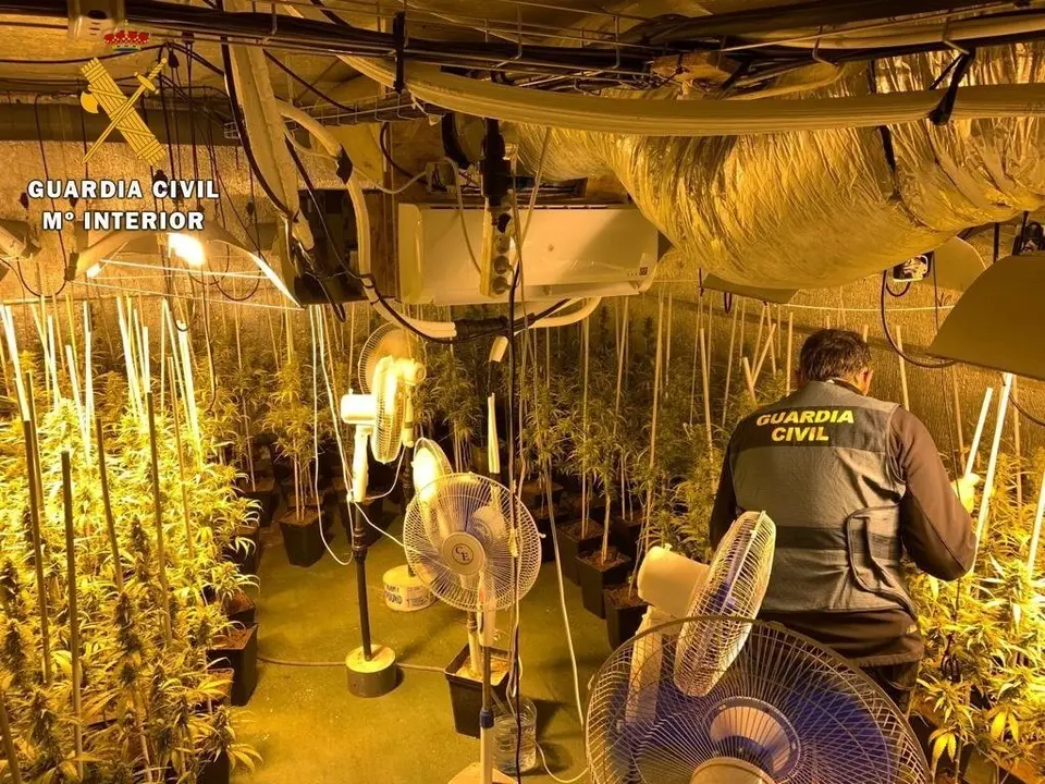 Plantaci&oacute;n desmantelada en Cabez&oacute;n de la Sal