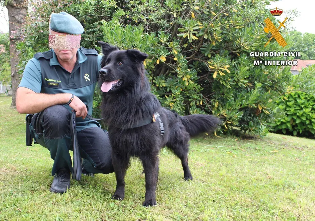 Nota De Prensa Nuevo Perro En La Guardia Civil
