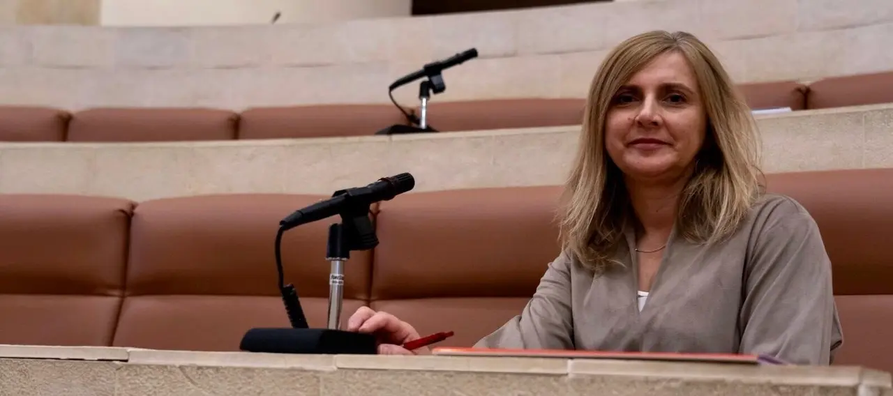 La secretaria de Organizaci&oacute;n y portavoz parlamentaria del PSOE de Cantabria, Noelia Cobo