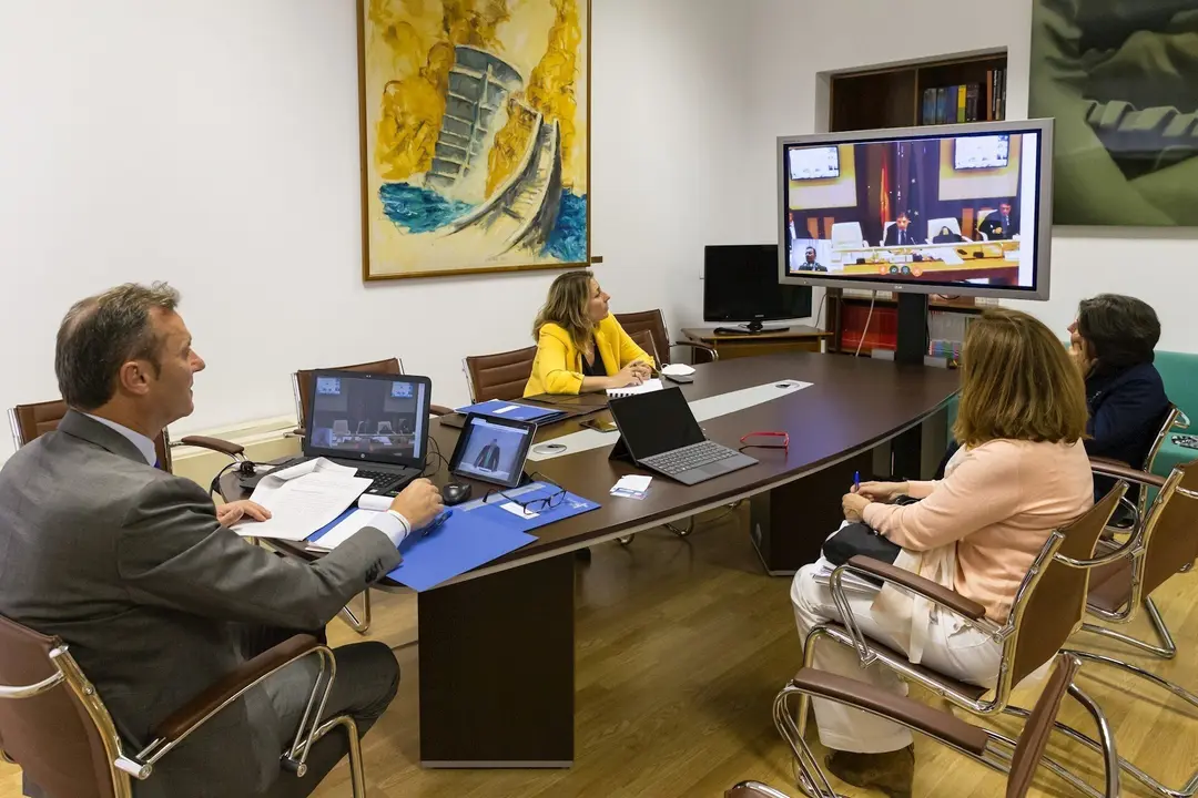 El consejero de Desarrollo Rural, Guillermo Blanco, en la videoconferencia