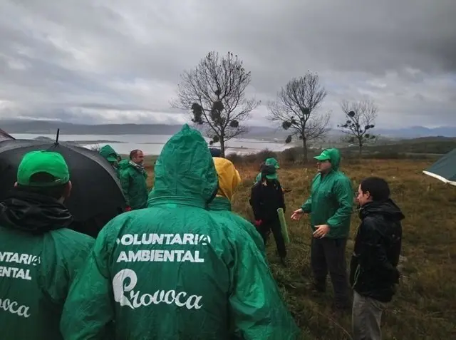 Voluntarios del Provoca plantan &aacute;rboles en Campoo de Yuso