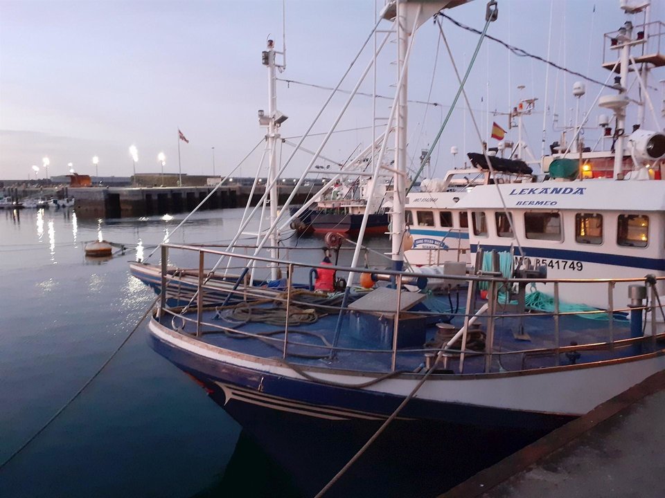 Barcos de pesca de bajura amarrados en el Puerto de Bermeo (Bizkaia)