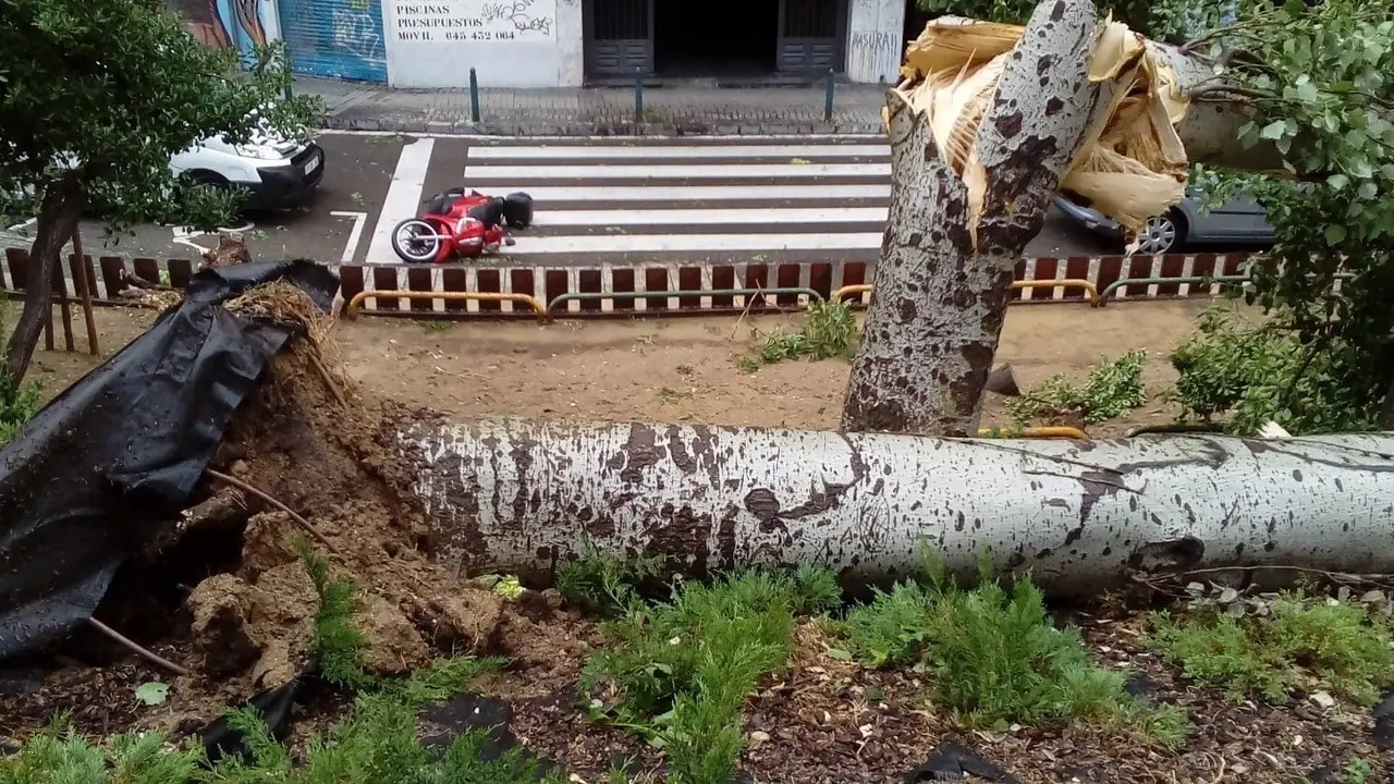 Destrozos causados por una tormenta.