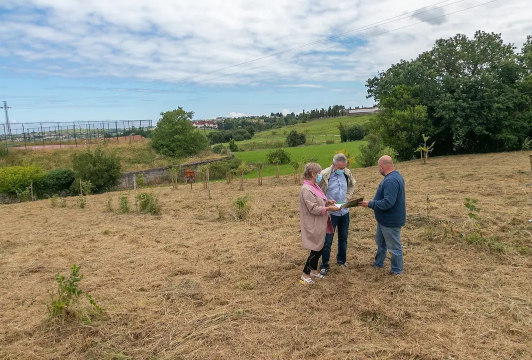 Lugar donde se ubicar&aacute; la pista multideporte de Polanco