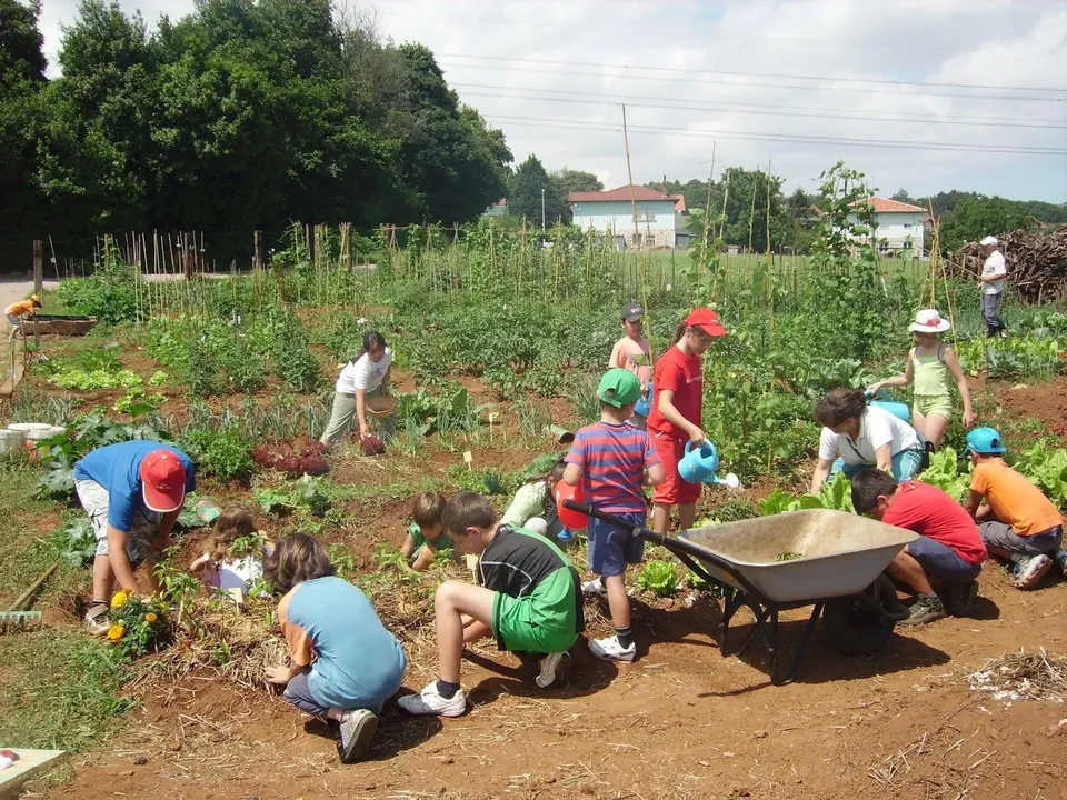 Programa 'Abierto en las huertas' (archivo)