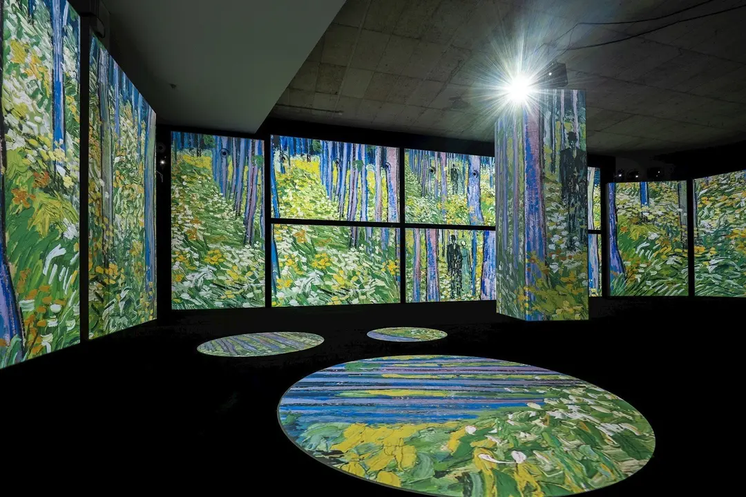 Exposici&oacute;n 'Van Gogh Alive - The Experience'