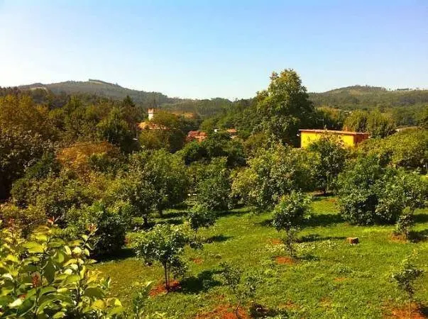 c&iacute;tricos novales